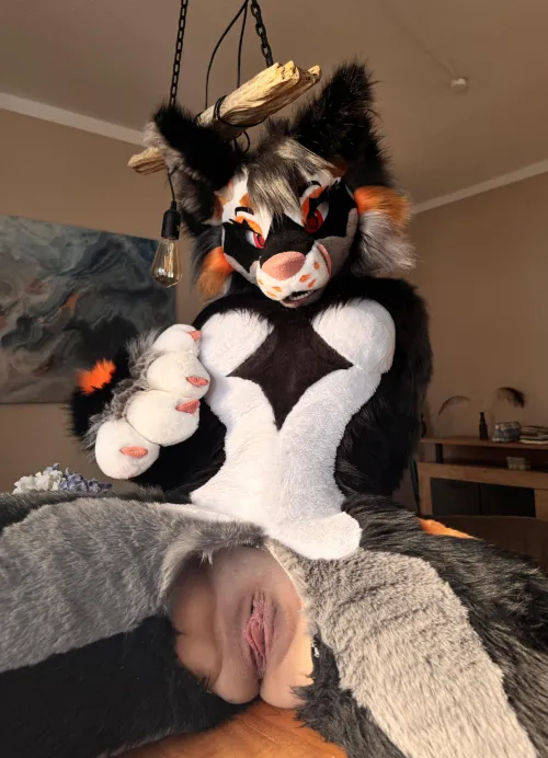 Would you eat this dinner?~