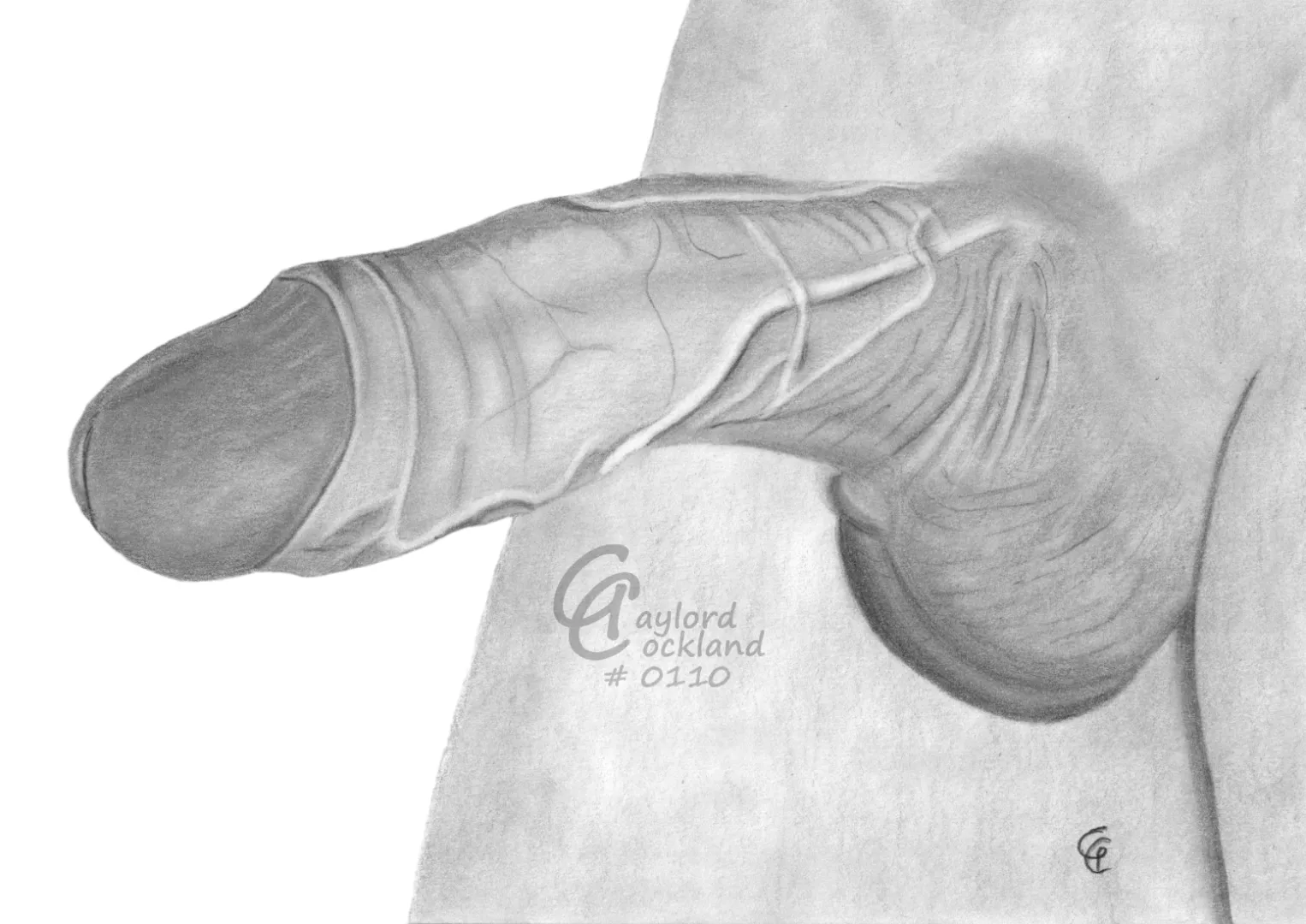(#110) erect penis with open foreskin, drawn by me