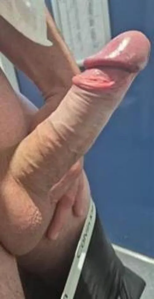 40 HUNG SCOTTISH BULL