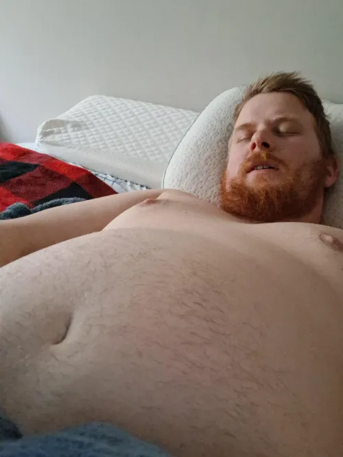 Ginger Cub ready to cuddle