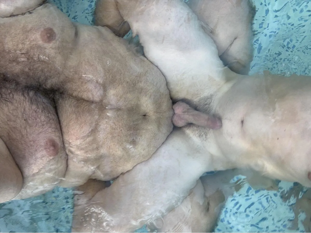 Happy Valentine’s Day 42