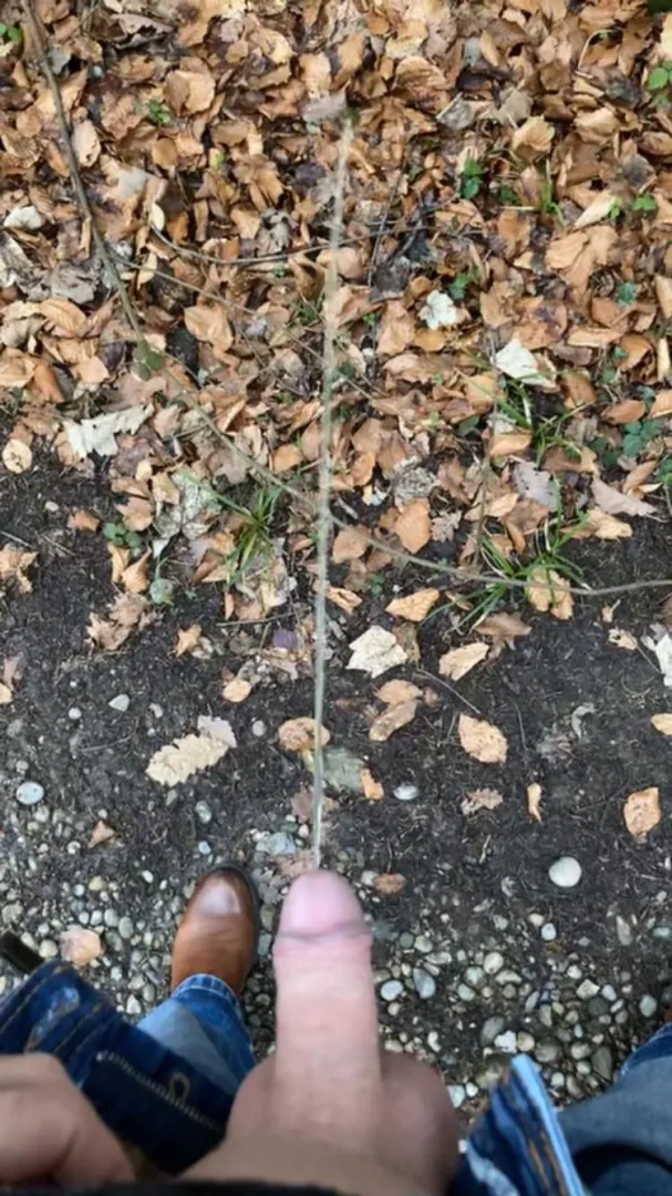 Pissing in the Forest