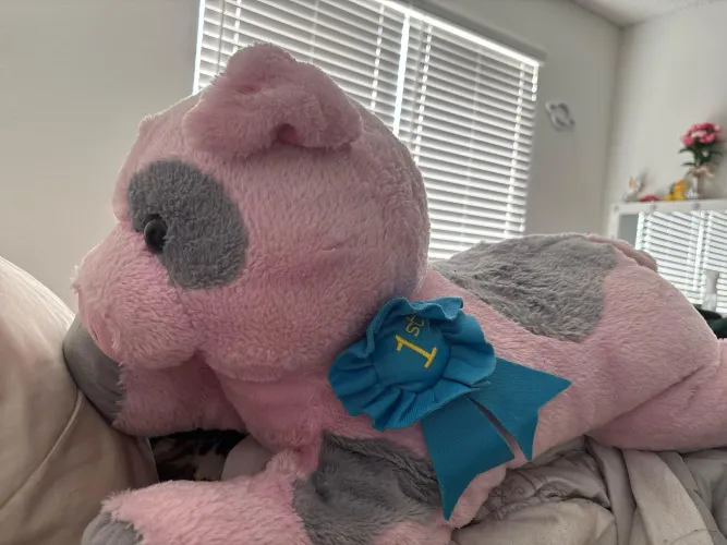 This is Wilbur he likes the nap with me!