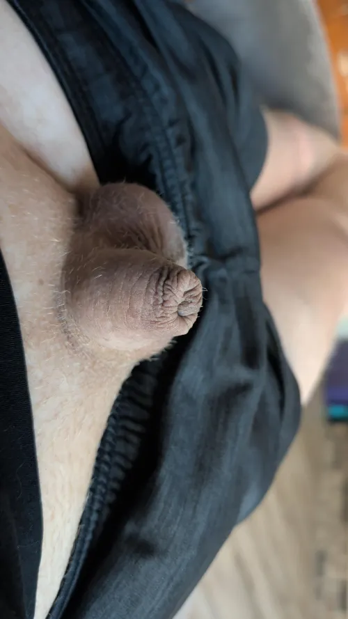 Very cute and getting hairy.