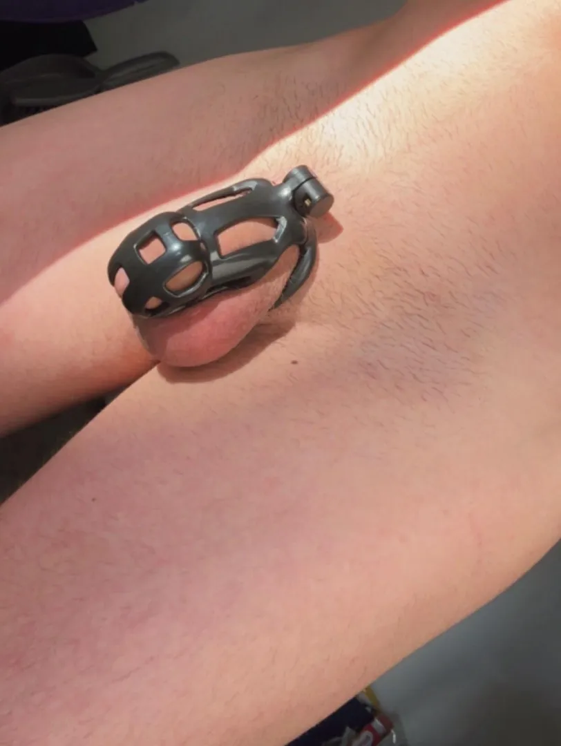 Any guys in cages or women who like watching guys in cages wanna chat? 