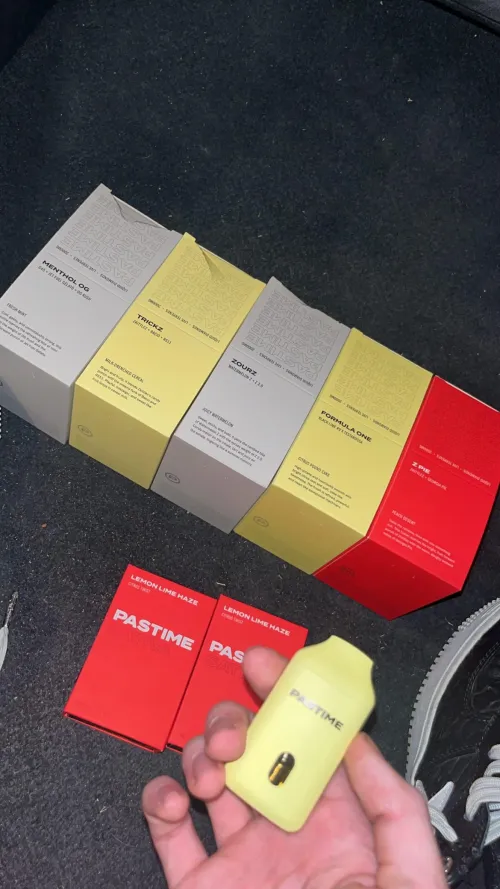 anybody know about these? Pastime 2g dispos