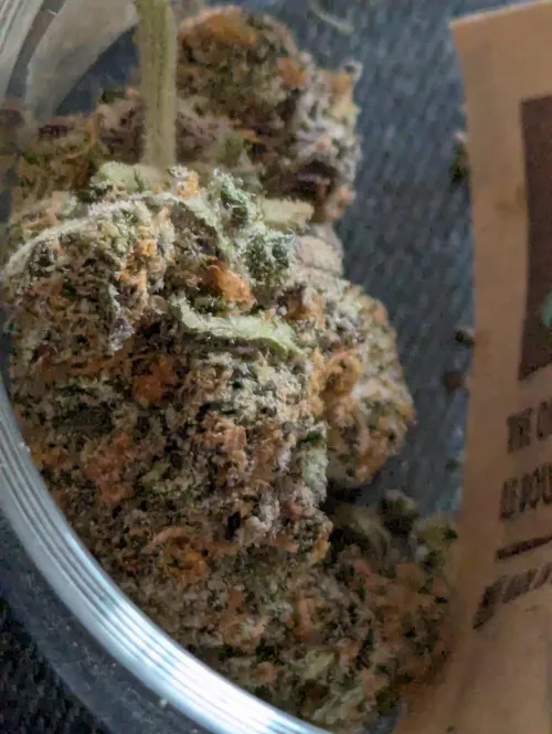 Best flavor I've ever had