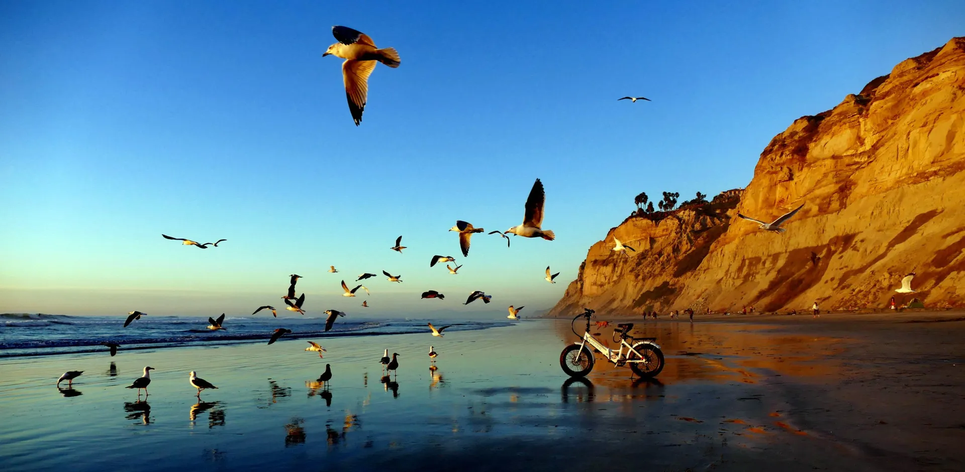 Bring back summer daze