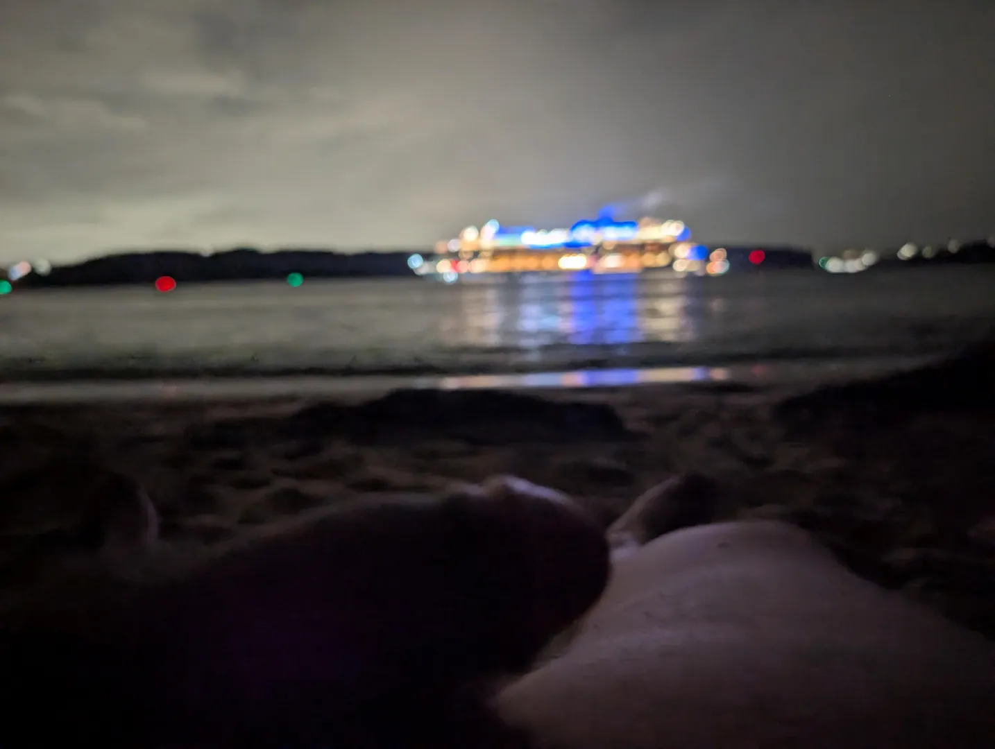 Do you think the cruise passengers liked the view of my soft cock?