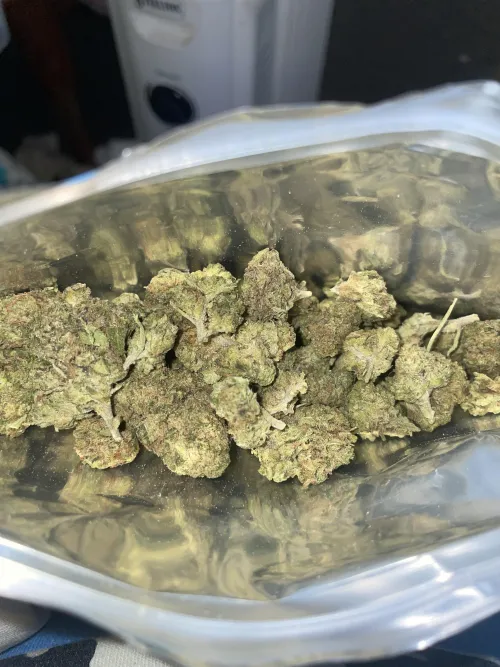 Gorilla glue (more Tsb)