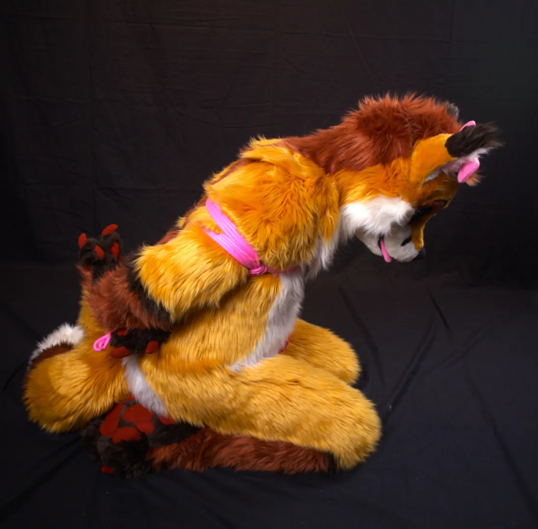 You caught a fox! What are you going to do?