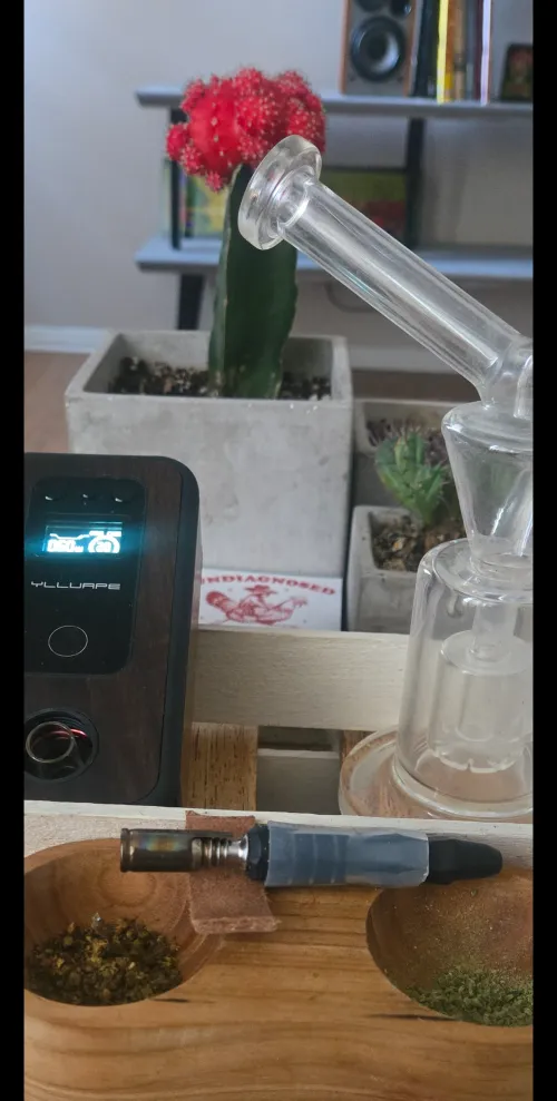 B2 is my daytime fave.