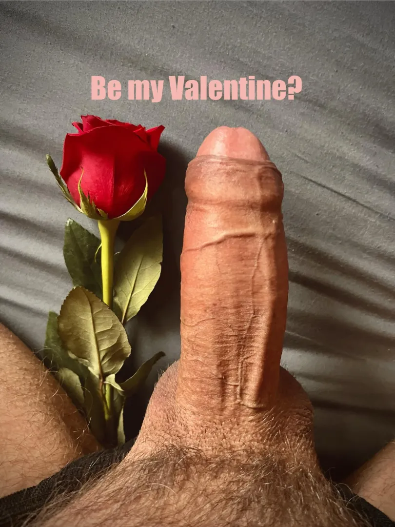 Can I buy you dinner and stretch your hole?