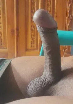 Erected teen penis