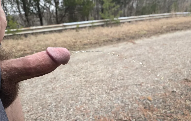 Got hard while pissing on the trail