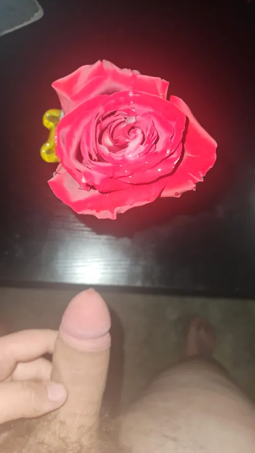 Happy valentine's day