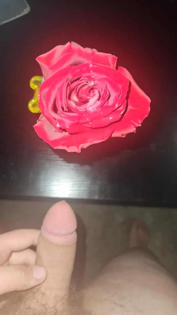 Happy valentine's day