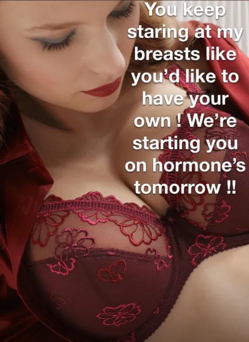 I can’t wait till I can start I can’t wait to fill my bra cups