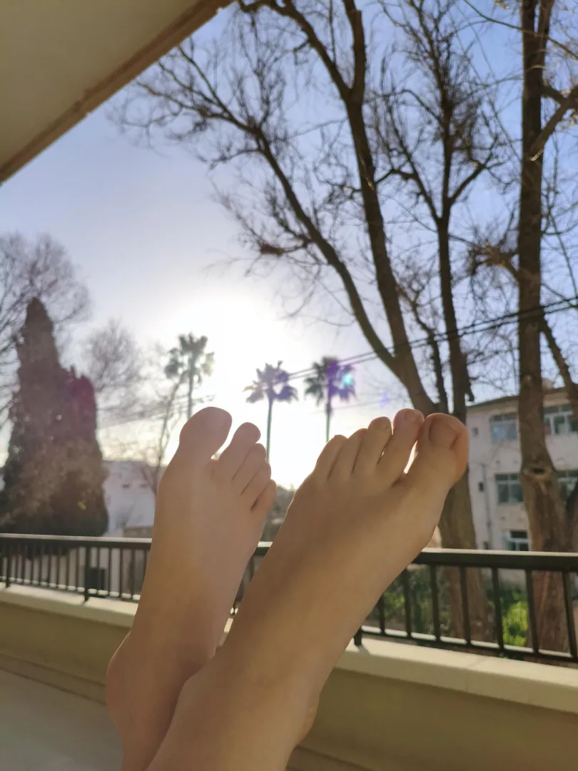 In the rich sunshine...