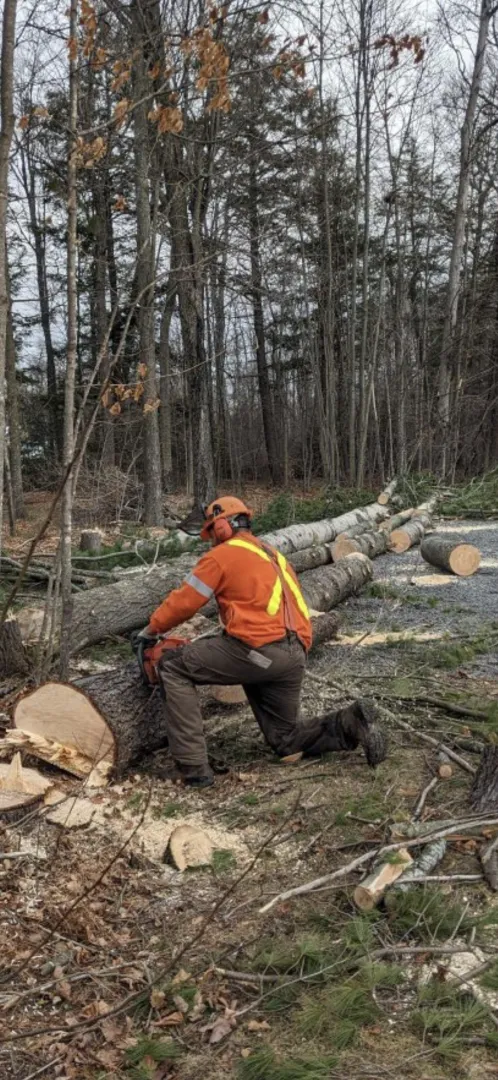 M 4 A, mature, sane, fit, and clean.