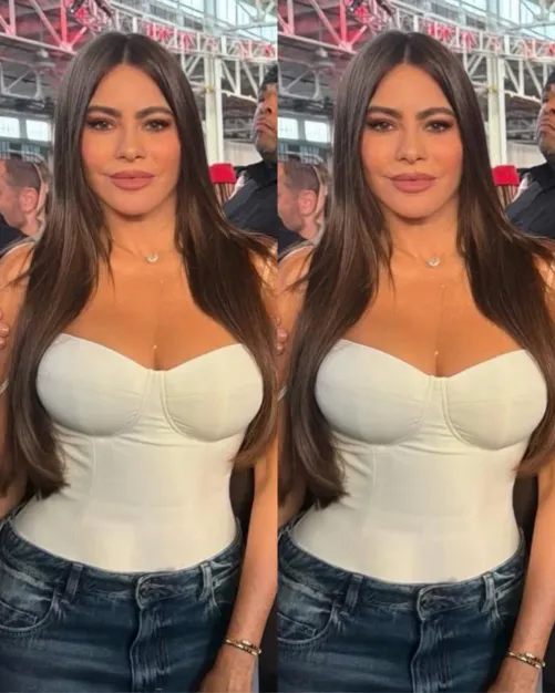 Sofia Vergara Recently
