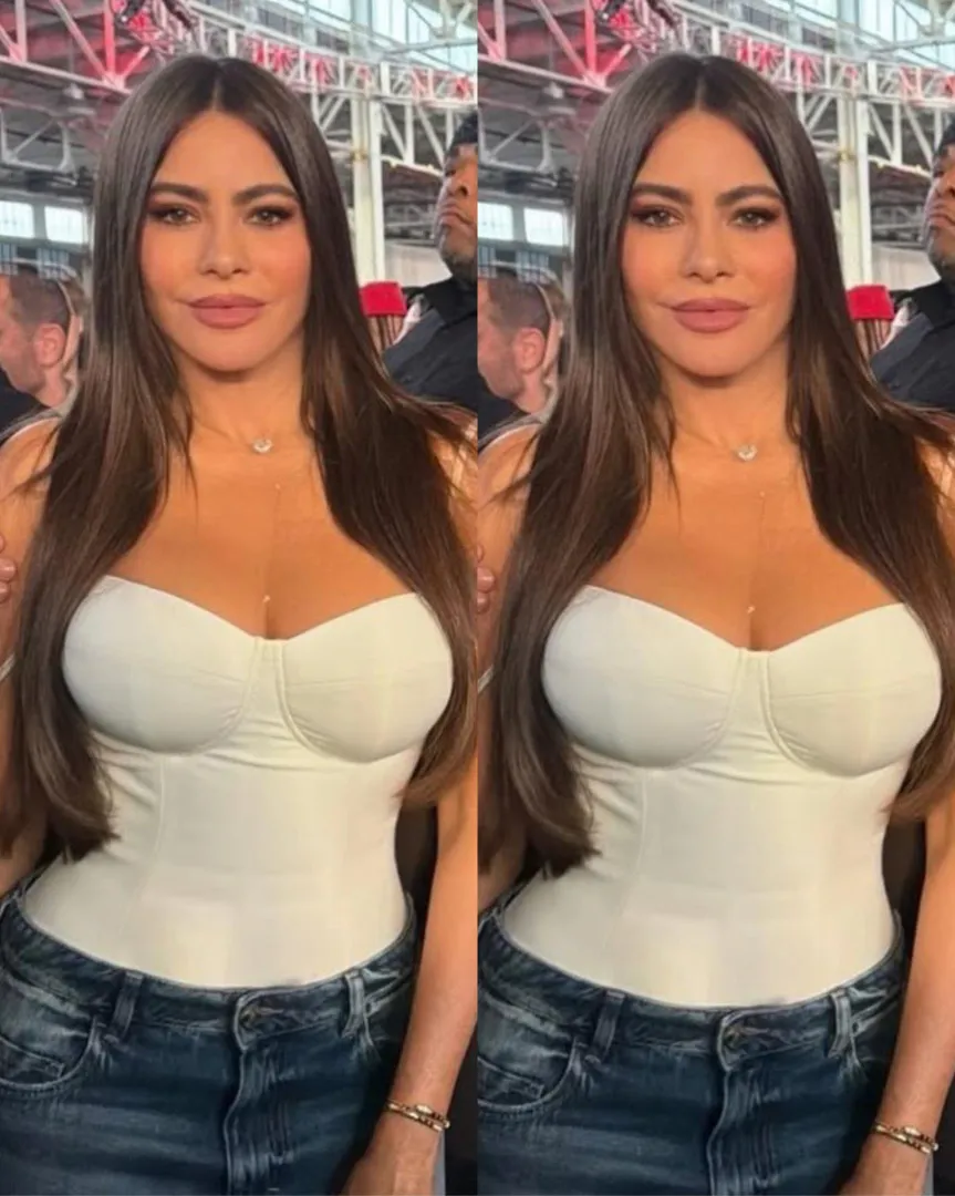 Sofia Vergara Recently