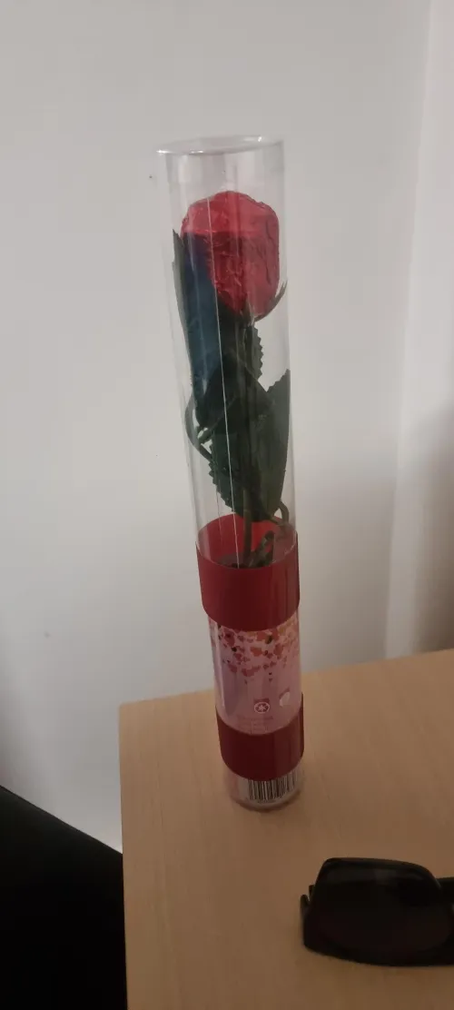 Valentine celebration with CCK auckland