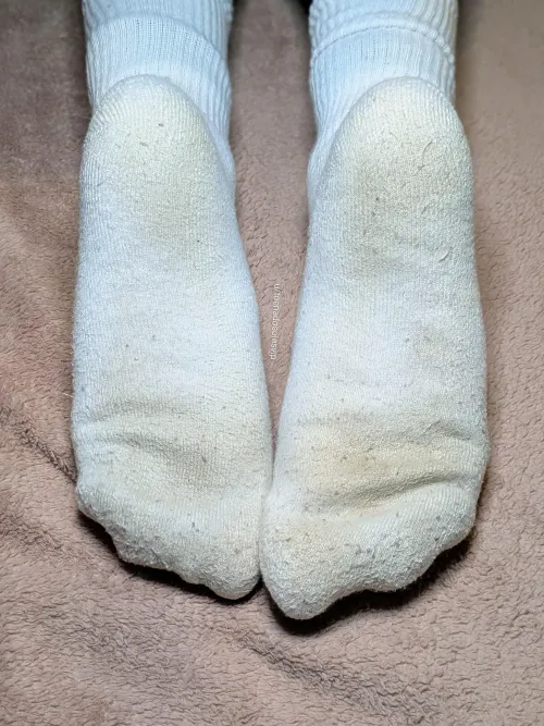 [F] Day 3: 48 Hours of Incubation ️ ​They’re moist, heavy with pilling, and the aroma is intense. ​Putting them back on this morning was an experience.  ​Wondering if they even need an extra day?