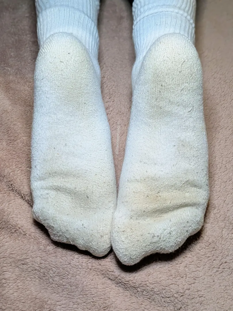 [F] Day 3: 48 Hours of Incubation ️ ​They’re moist, heavy with pilling, and the aroma is intense. ​Putting them back on this morning was an experience.  ​Wondering if they even need an extra day?