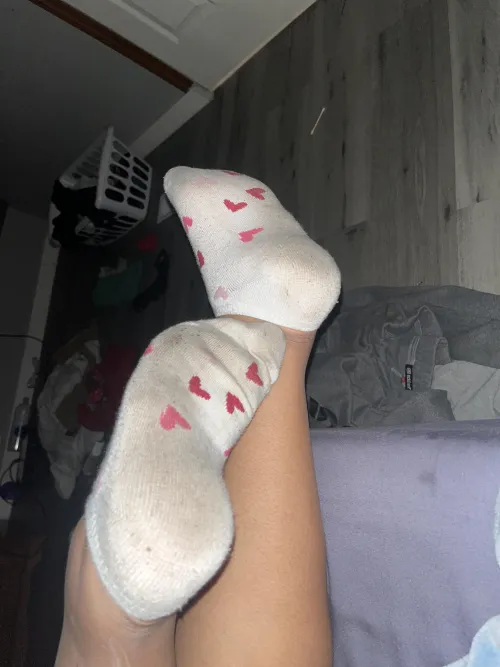 [F] room filled with the stink of these socks