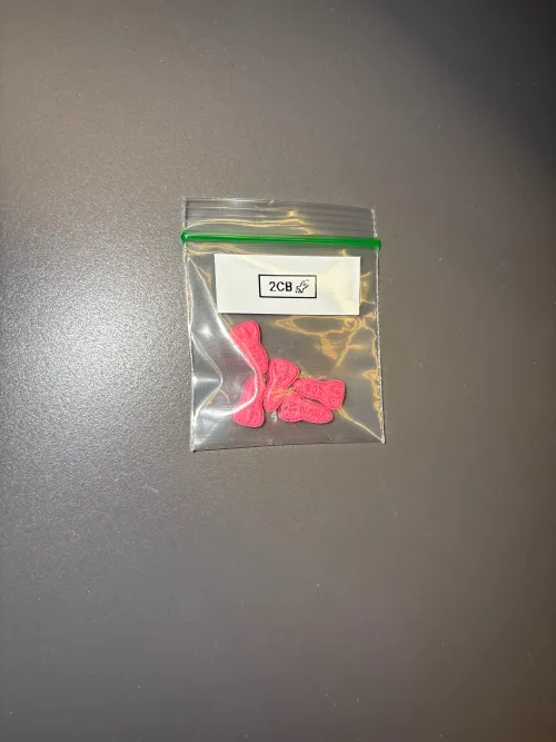 Going amsterdam for kingsday