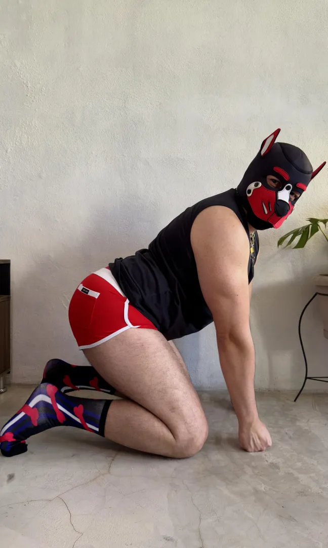 Im a good boy  - Astro 