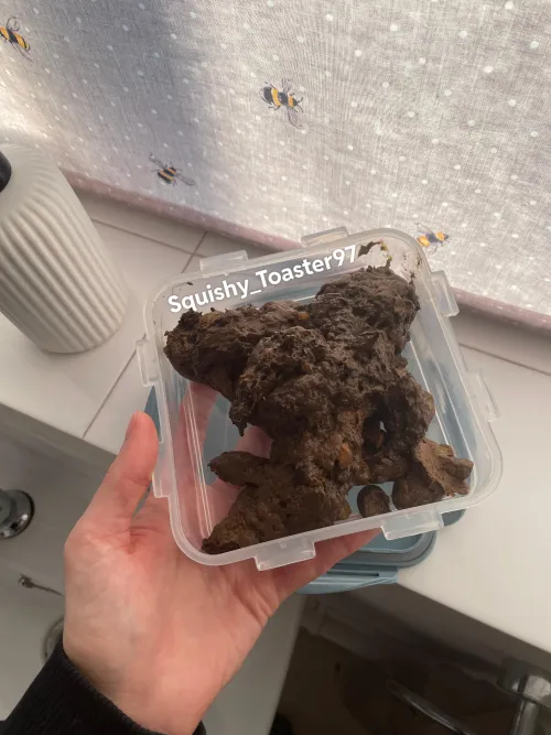 Let’s celebrate Valentine’s Day in the best way  10% off my toilet google drive today only ❤️ Over 50 scat videos  ✨ LIFETIME ACCESS - £72 ✨