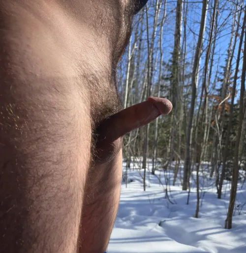 Not much beats a walk in the woods