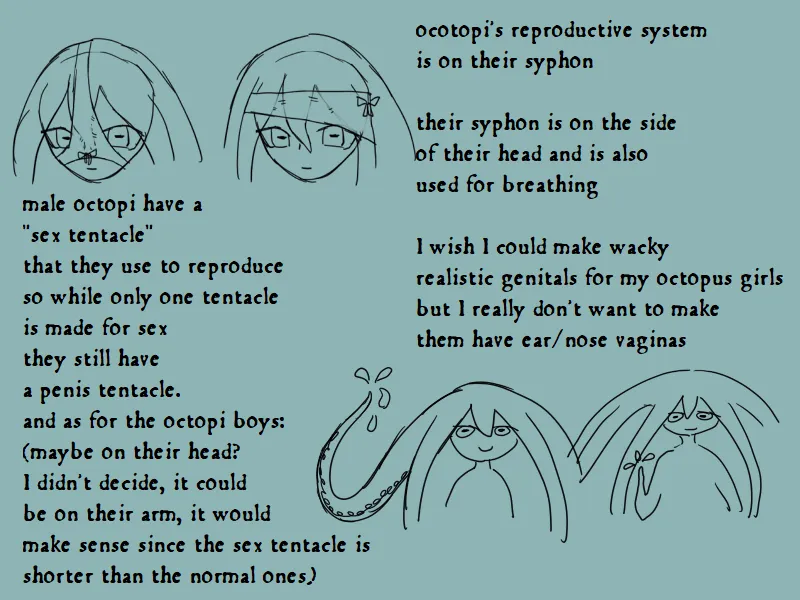 Octopi genitals: what I'm willing to make accurate and what I'm not