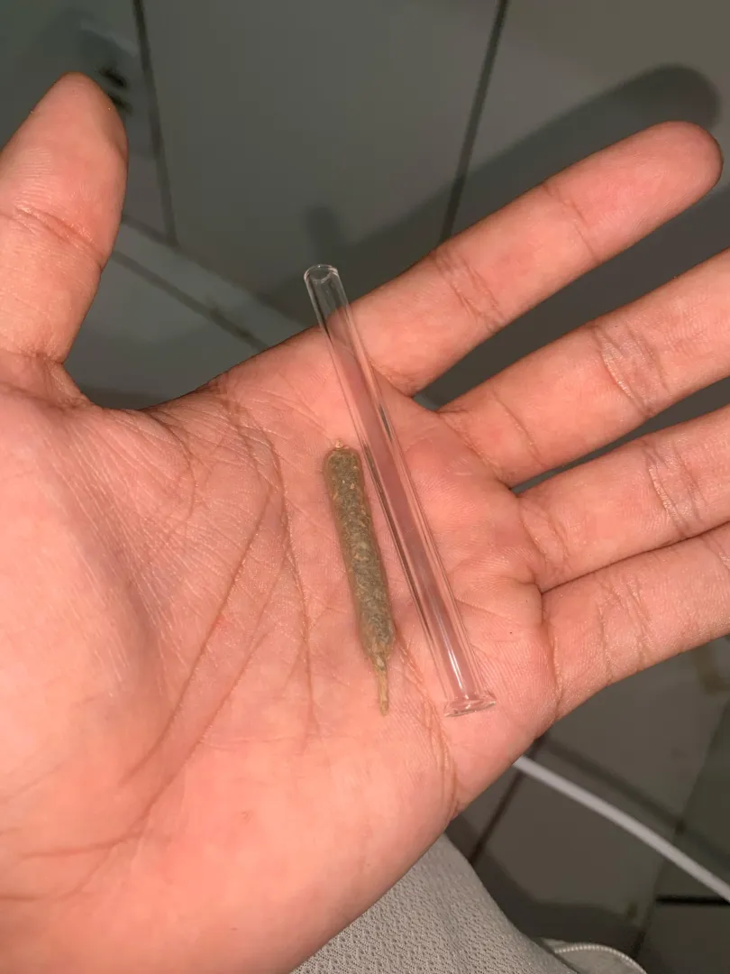 Pra vcs aí q falaram q tava sem piteira