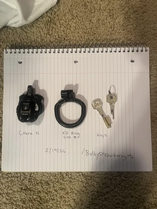[US] [Sell] Cobra N + XD Ring size 1