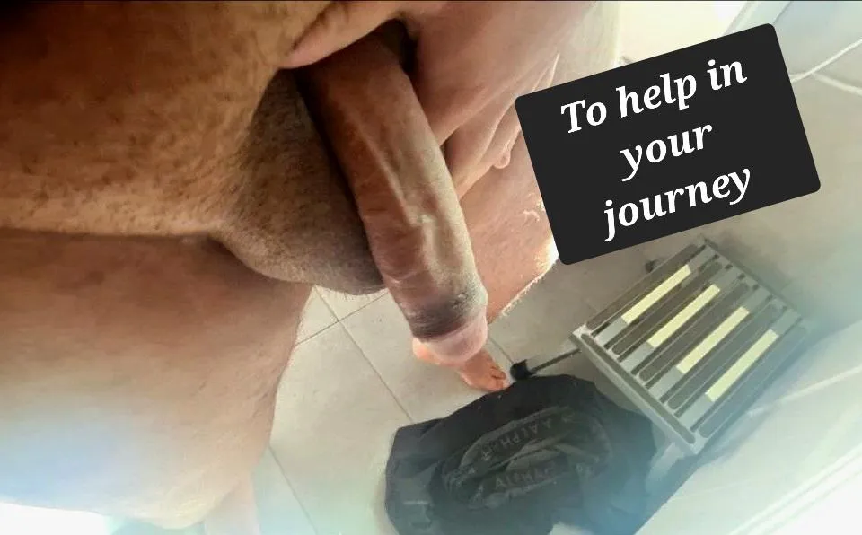 Wanting an adventure but some say it's dangerous to go alone you should take this