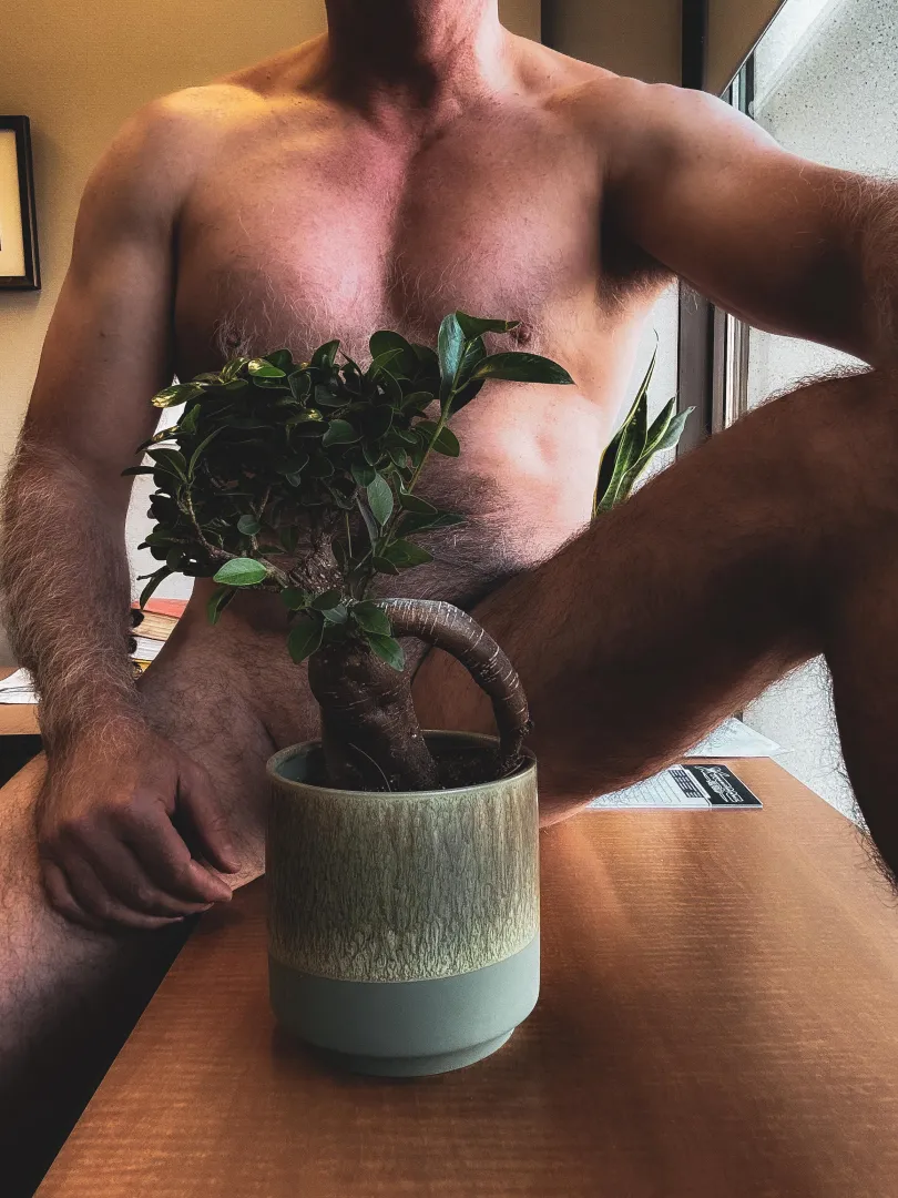 [wpc] Morning Wood..