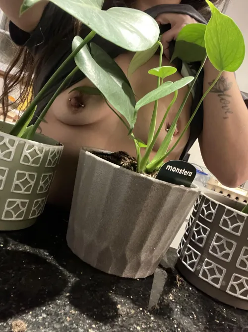 Can you spot the wild nips?