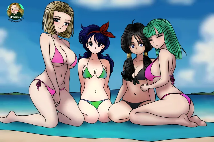 Dragon ball Bikini Babes (by littlehoeart)