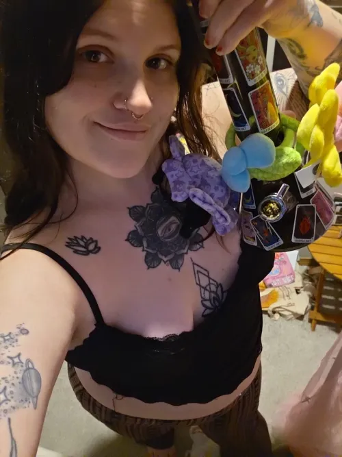 Evening gooners and stoners