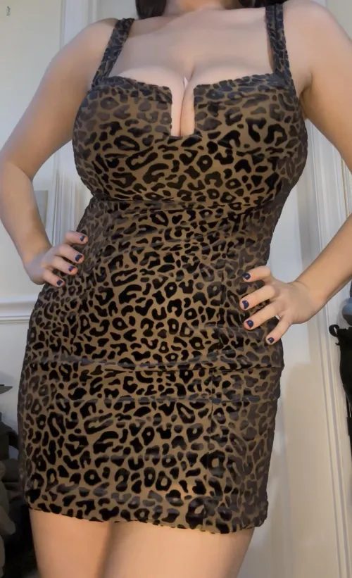 [F]A wild print for gonemild (this is my mob wife dress btw)