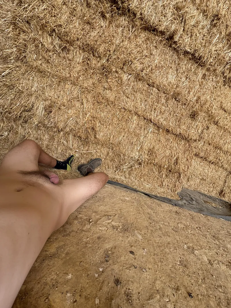 Long week. I’ll be napping in the hay shed if ya need me