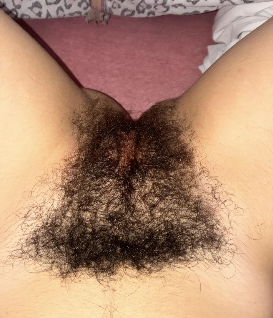 Look what a beautiful bush