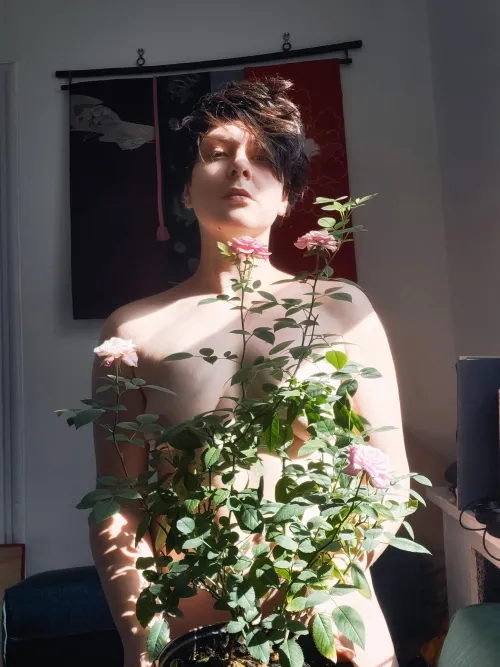 My little rose garden