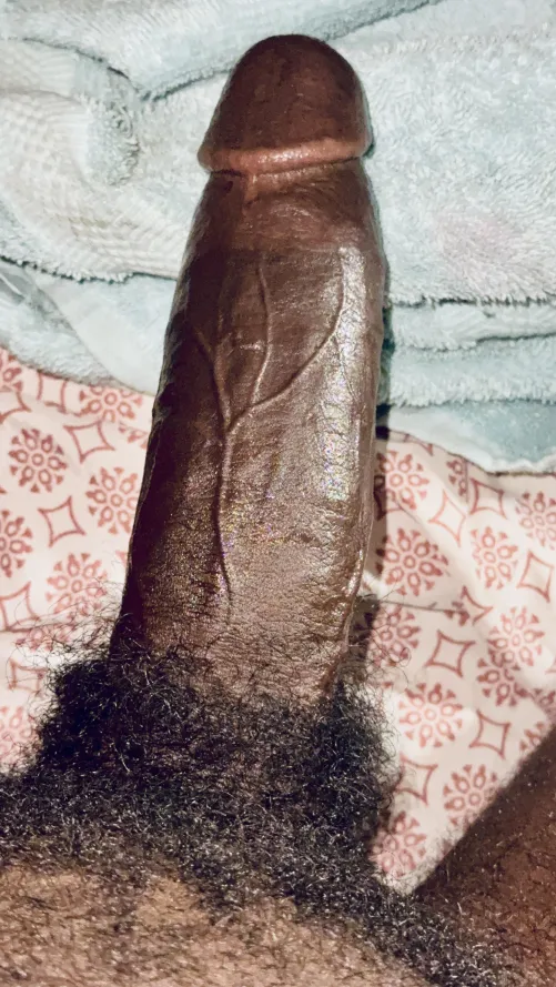 Stroking this heavy black beast slow… looking for M4F M4MF