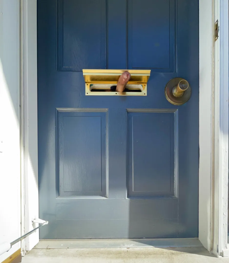 Today's mail included a special delivery!