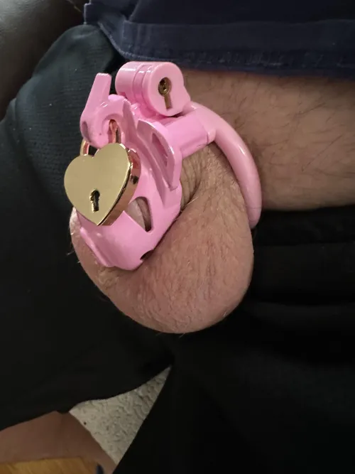 Boss says need smaller cage, do you agree?