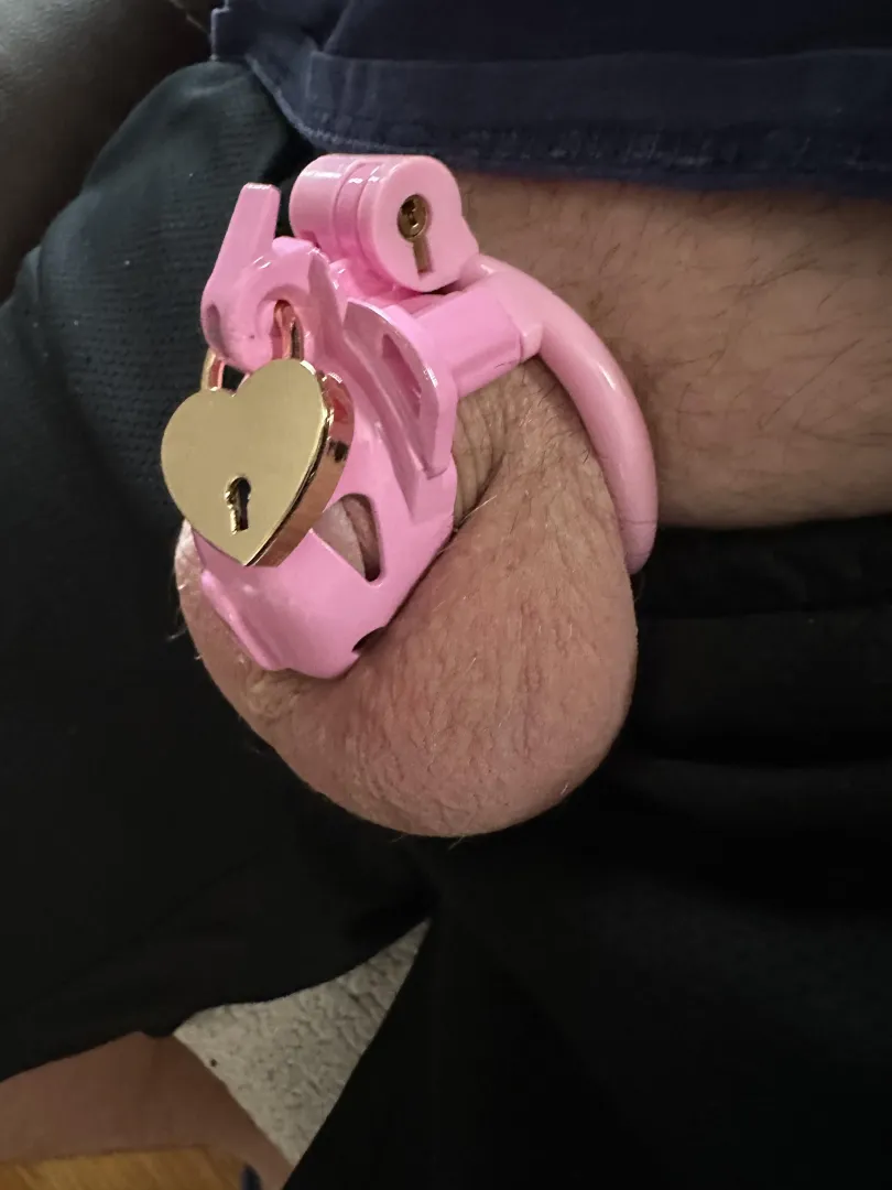 Boss says need smaller cage, do you agree?